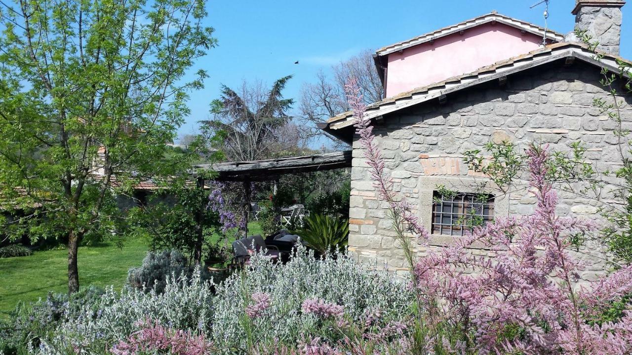 Il Casale Alle Farine Viterbo Exterior photo